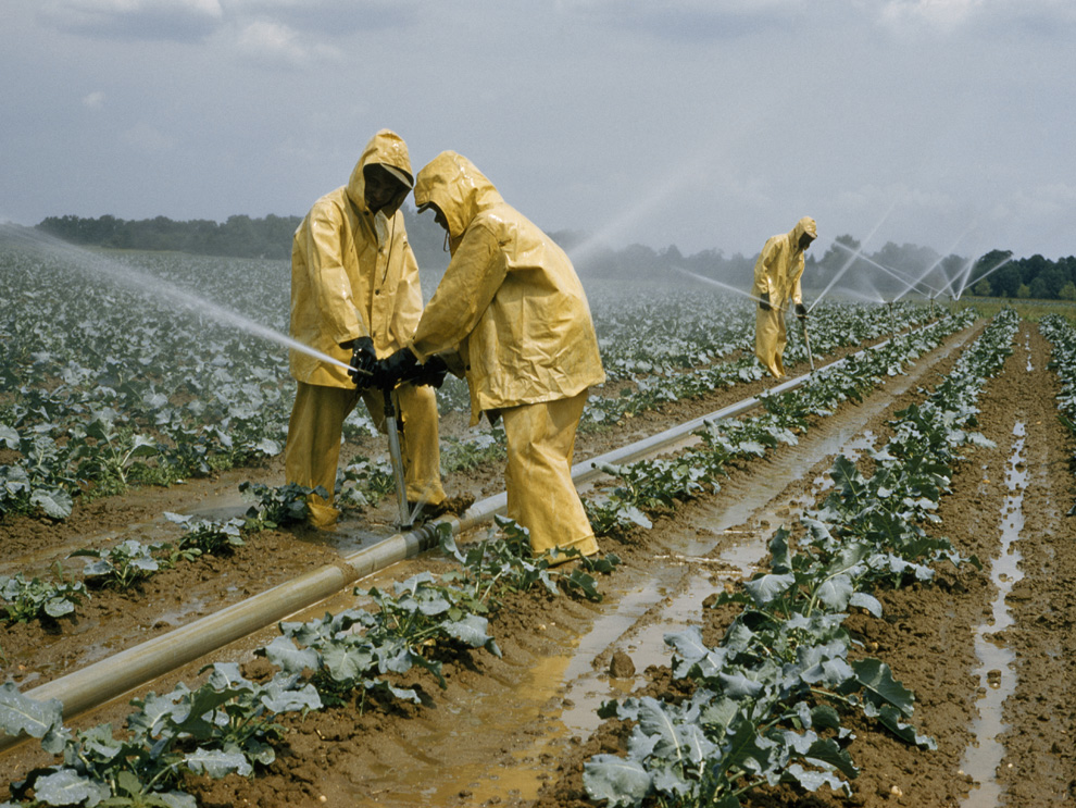 Agriculture